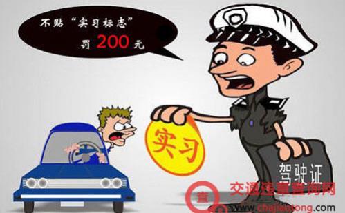 驾照实习期扣分规定及换证