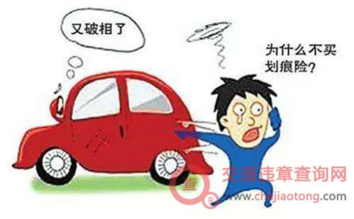 新车上牌保险费用