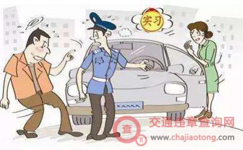 实习期上高速扣分处理