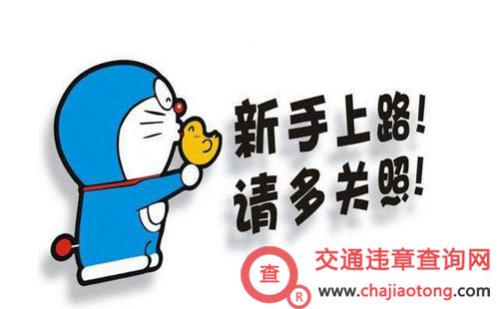 c1驾照实习期扣分规定