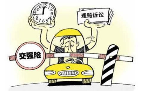 汽车强制险包括什么