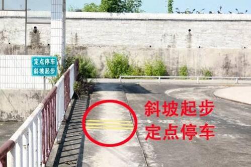 电动车驾驶证办理流程