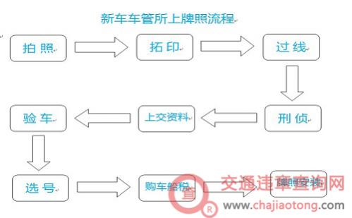 今年车牌号什么数字好
