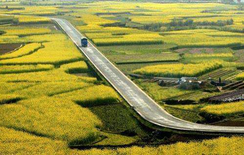 上海市农村公路管理办法