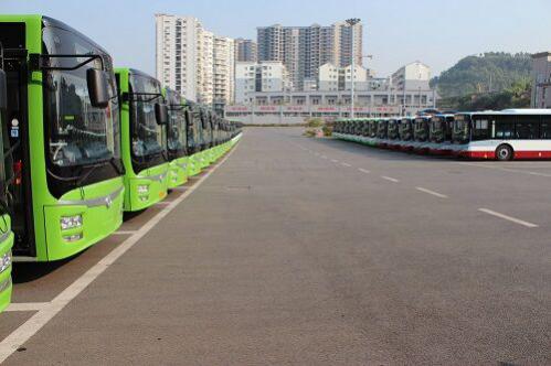 洛阳市城市公共交通条例