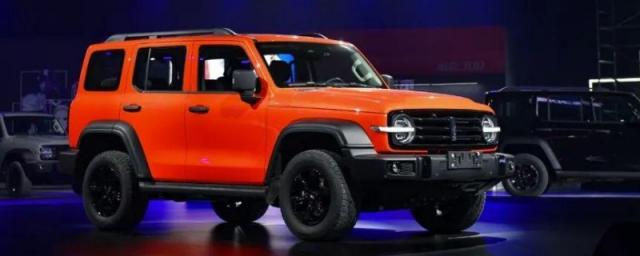 wey300是什么品牌车,wey300是什么车多少钱