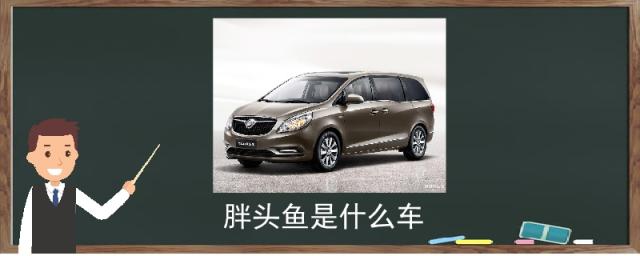 胖头鱼是什么车型,胖头鱼是什么车