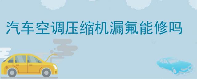 汽车空调压缩机能修吗,空调压缩机漏氟能修吗