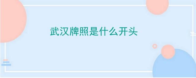 武汉牌照是什么开头怎么读,武汉牌照是什么开头字怎么读