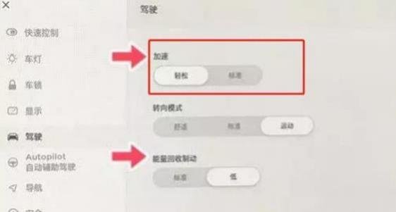 特斯拉驾驶模式区别(特斯拉驾驶模式)